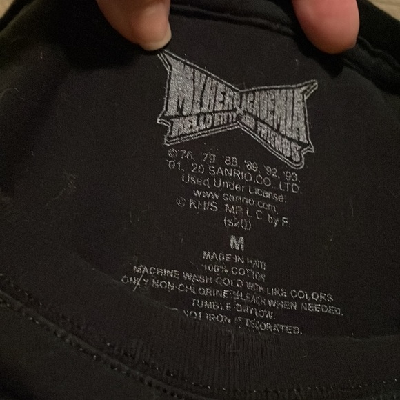 Y2K Hello Kitty and Friends - Picture 2 of 4